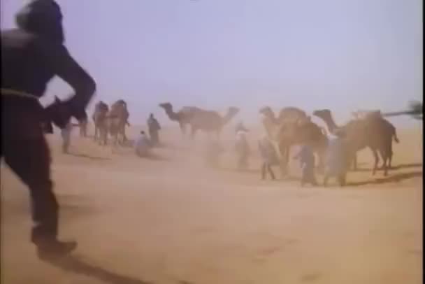 Vintage Aged Footage Shootout Desert — Stock Video