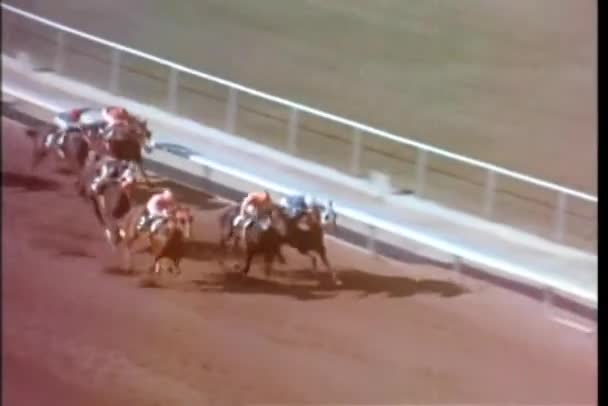 Horse Taking Lead Horse Race — Stock Video