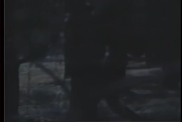 夜に森を通って死んだ女性を運ぶ男 — ストック動画