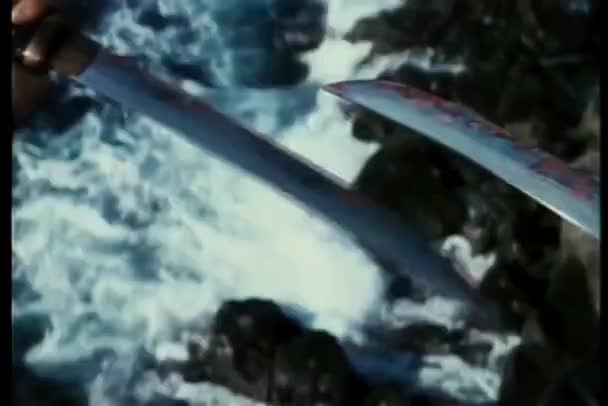 Крупный План Кровавых Кинжалов Над Океаном — стоковое видео