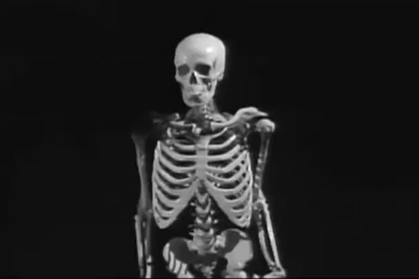 1950 — 비디오