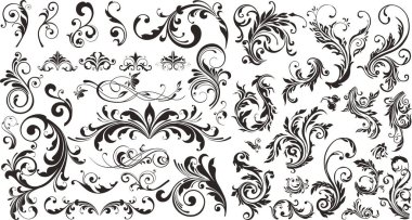 Set of floral elements for design. Abstract flower vector decor. clipart