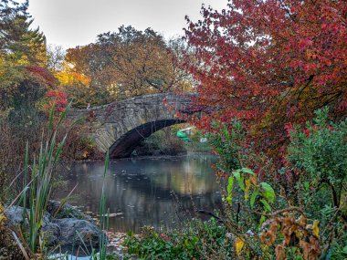 Sonbaharın sonlarında Central Park 'taki Gapstow Köprüsü