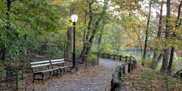 Central Park Nowy Jork Jesienią — Zdjęcie stockowe
