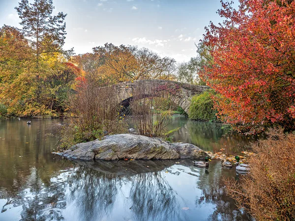 Gapstow Bridge Central Park Slutet Hösten — Stockfoto