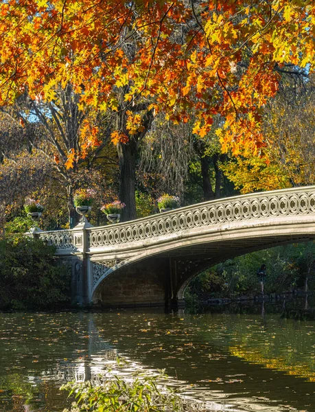 Боу Бридж Центральный Парк Нью Йорк Поздней Осенью — стоковое фото
