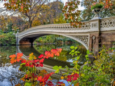 Pruva köprüsü, Central Park, New York Sonbaharda