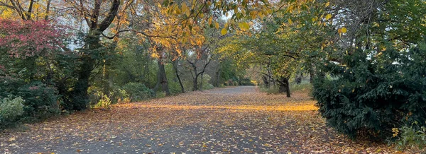 Central Park Nova York Trilha Equitação Outono — Fotografia de Stock