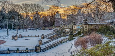 Bethesda Terrace ve Fountain, New York 'un Central Park' ındaki göle bakan iki mimari özelliktir..