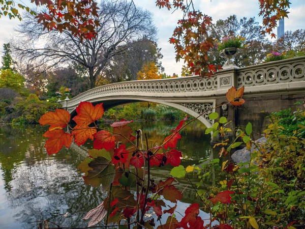 Bow Bridge Central Park Nyc Fin Automne Tôt Matin — Photo