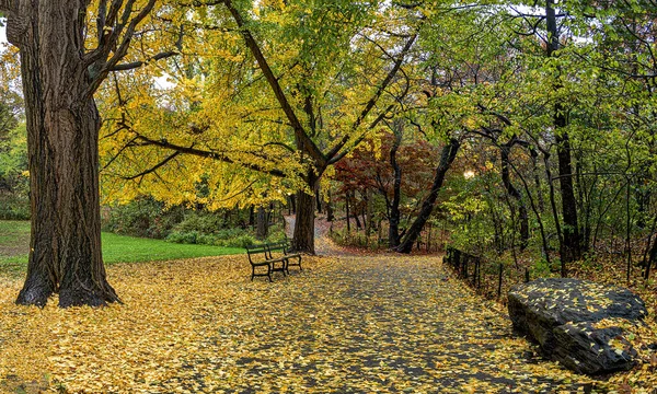 Central Park Nowy Jork Jesienny Szlak Konny — Zdjęcie stockowe