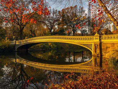 Pruva köprüsü, Central Park, New York, sonbaharın sonlarında sabahın erken saatleri