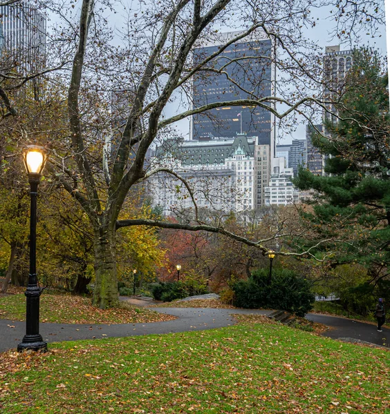 Central Park Nowy Jork Jesienią Deszczowy Poranek — Zdjęcie stockowe