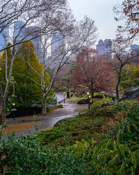Central Park New York Sonbaharda Yağmurlu Bir Sabahta — Stok fotoğraf