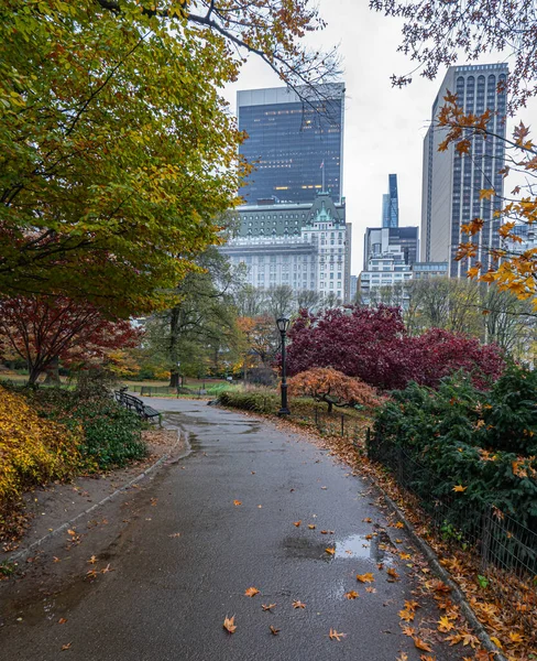 Central Park New York City Autumn Rainy Morning — Stock Photo, Image