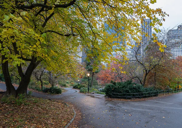 纽约市中央公园秋天的雨天早上 — 图库照片