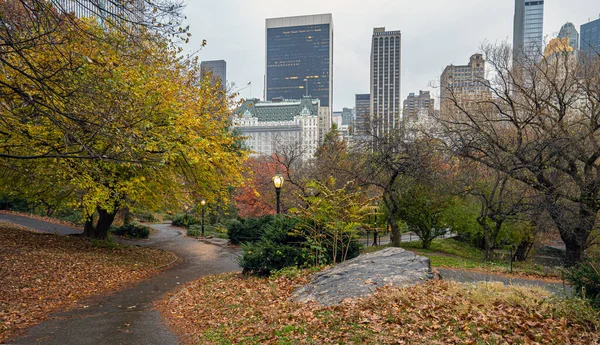 Central Park New York City Hösten Regnig Morgon — Stockfoto