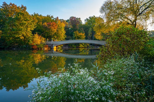 纽约市中央公园的弓桥 秋末清晨 — 图库照片