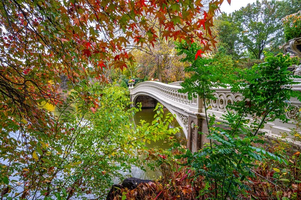 Боу Бридж Центральный Парк Нью Йорк Раннее Утро Поздней Осени — стоковое фото
