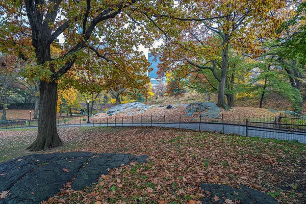 Central Park New York City Autumn Rainy Morning — Stock Photo, Image