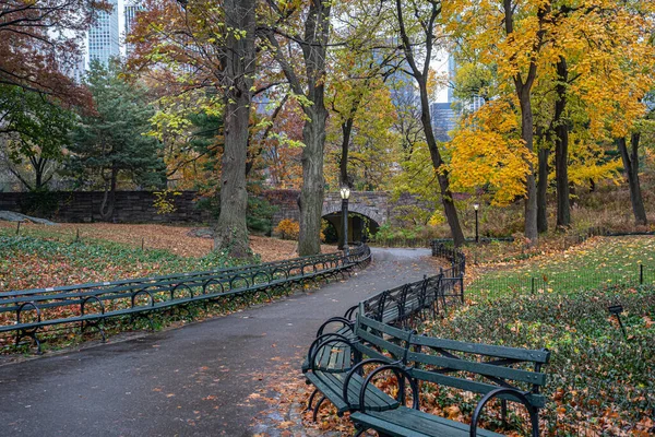 Central Park Nueva York Otoño Mañana Lluviosa —  Fotos de Stock