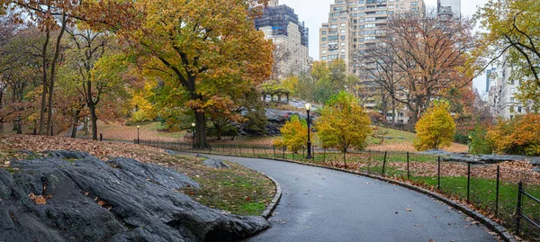 ニューヨークのセントラルパーク雨の朝の秋 — ストック写真