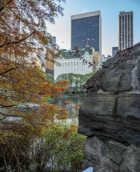 Gapstow Bridge Central Park Slutet Hösten Tidig Morgon Molnig Dag — Stockfoto