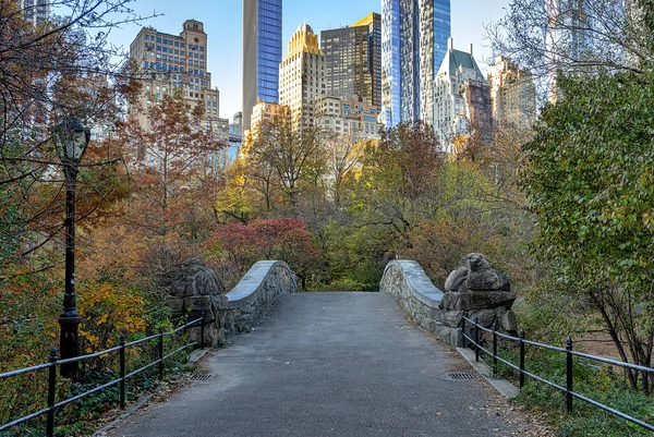 Gapstow Bridge Central Park Slutet Hösten Tidig Morgon Molnig Dag — Stockfoto
