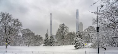Central Park, New Yoprk Şehri kar fırtınası sırasında