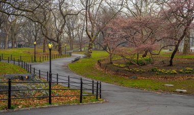 Central Park 'ta bahar, New York