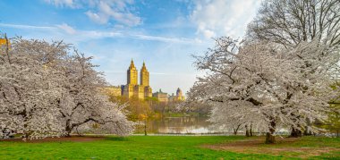 Central Park 'ta bahar, New York