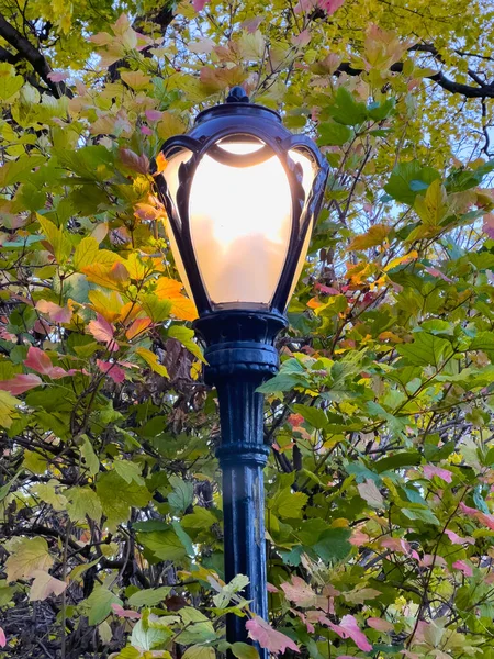 Central Park New Yoprk City Street Lamp Early Morning — Stock Photo, Image