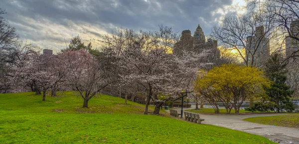 Voorjaar Central Park New York City — Stockfoto