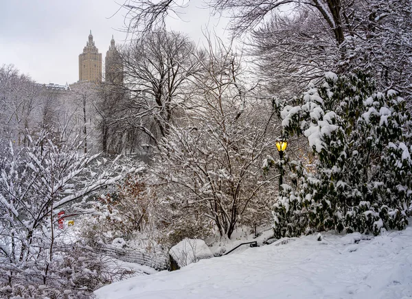 Central Park New Yoprk City Durante Tempesta Neve — Foto Stock