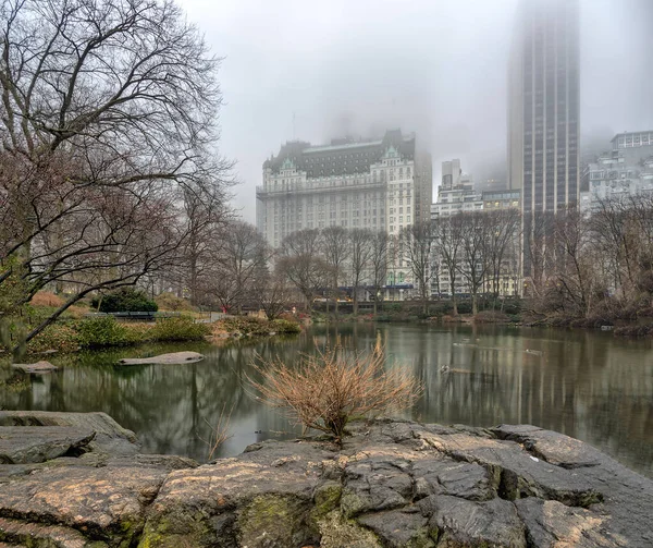 Vorfrühling Central Park New York City — Stockfoto