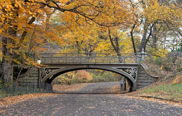 Bridge Central Park Nyc — Stock Photo, Image