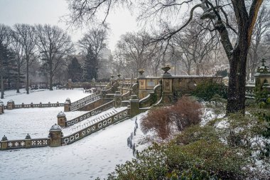 Bethesda Terrace ve Fountain, New York 'un Central Park' ındaki göle bakan iki mimari özelliktir..