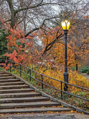Central Park, Sonbaharda New York