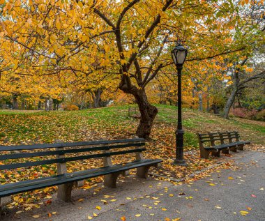 Central Park, Sonbaharda New York