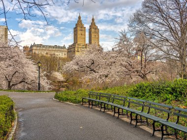 Central Park 'ta bahar, New York