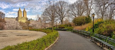 Central Park 'ta bahar, New York' ta çiçek açan kiraz ağaçları