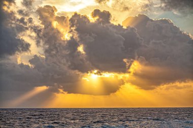 Washington Slagbaai Ulusal Parkı, Hollanda 'nın Bonaire adasının kuzeybatısında yer alan ulusal park.. 