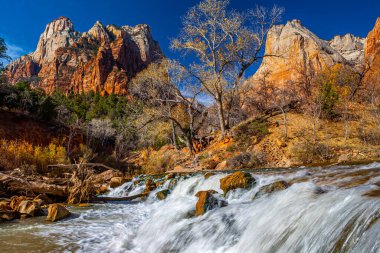 Zion Ulusal Parkı, Utah 'ın güneybatısında, Springdale yakınlarında bulunan bir Amerikan milli parkı.