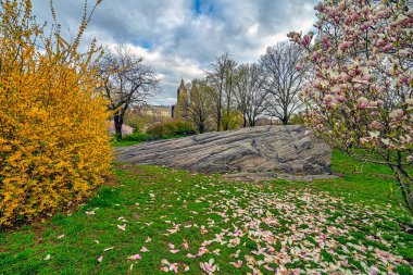 Central Park 'ta bahar, New York