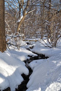 Small stream in Central Park in the erly morning with small waterfal