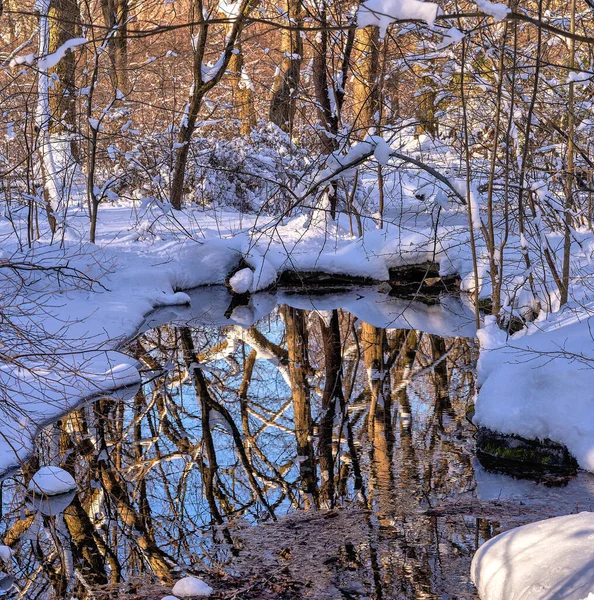 Small stream in Central Park in the erly morning with small waterfal