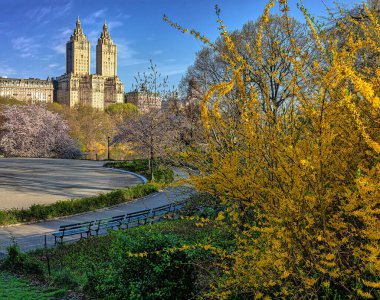 Spring in Central Park, New York City, early in the morning