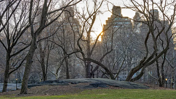 Central Park Winter Blick Auf Die Obere Ostseite Bei Sonnenaufgang — Stockfoto