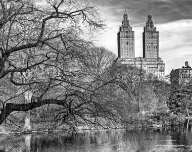 Central Park in winter , blac and white with a view of the lake