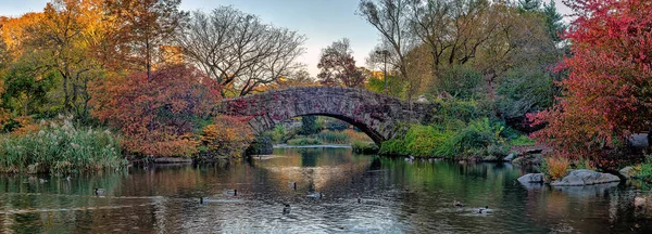 Puente Gapstow Central Park Finales Otoño Con Follaje Otoño — Foto de Stock